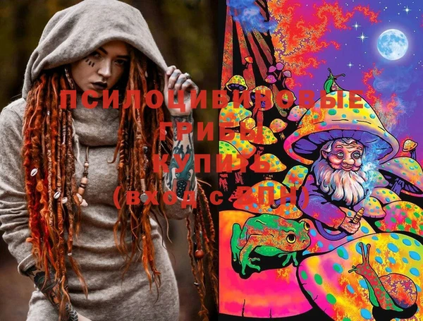 дживик Волоколамск