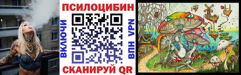 Псилоцибиновые грибы Cubensis  Купить где  Иноземцево 
